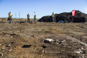 Exposed features marked by flags during a Stage 4 mitigation.