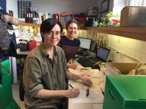 Nigel Klemenčič-Puglisevich our Architectural Conservancy of Ontario job shadowee works in our Toronto lab with Field Director Alanna Martini getting collections ready for Sustainable Archaeology